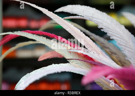 Des plumes dans VV Rouleaux detail sur Marylebone Lane, Marylebone, London, UK Banque D'Images