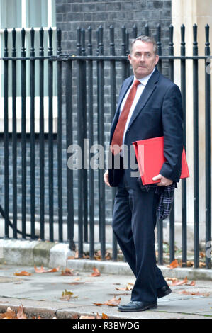 Liam Fox MP (Con : North Somerset) Secrétaire d'État chargé du Commerce international et président de la Chambre de commerce - quitter Downing Street, le 20 novembre Banque D'Images