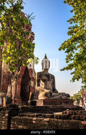 Ayutthaya, Thaïlande. Grand Bouddha du Wat Phra Mahathat, Ayutthaya Historical Park, près de Bangkok. Banque D'Images