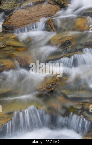 Le Canada, la Colombie-Britannique, l'East Kootenay Montagnes. Cours d'eau en cascade. Banque D'Images