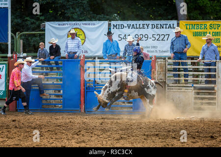 Bull riding, concurrence Philomath & Frolic Rodeo, Oregon, USA Banque D'Images