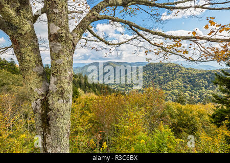 Vue panoramique sur les montagnes Great Smoky au Tennessee Banque D'Images