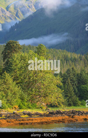 Vue panoramique près de la ville de Tenakee Tenakee Springs, Inlet, Inside Passage, Alaska, USA Banque D'Images