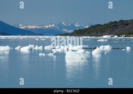 Smith Glacier, College Fjord, Prince William Sound, Alaska Banque D'Images