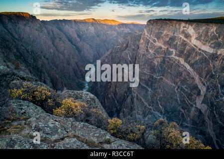 Lever du soleil au-dessus de la gorge et de l'Amelanchier, Gunnison River, Black Canyon National Park, Colorado. Banque D'Images