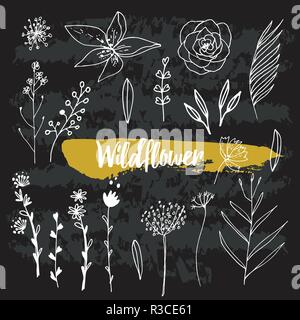 Collection de fleurs sauvages à la main Illustration de Vecteur