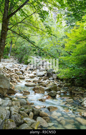 Shannon Falls Provincial Park près de Squamish, British Columbia, Canada Banque D'Images
