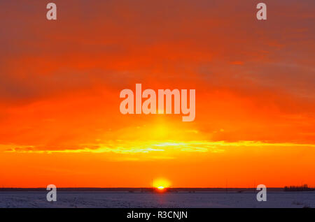 Canada, Manitoba, Winnipeg. Le lever du soleil sur la prairie. Banque D'Images