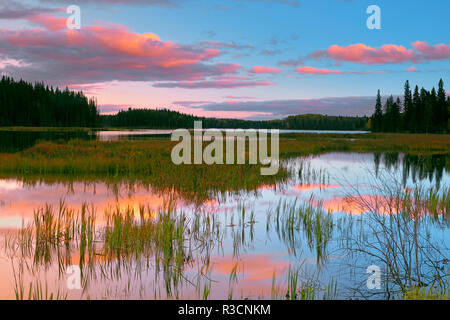 Le Canada, le Manitoba, le Parc provincial Duck Mountain. Au coucher du soleil des zones humides. Banque D'Images
