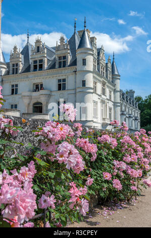 Château de Chenonceau, Chenonceaux, France Banque D'Images