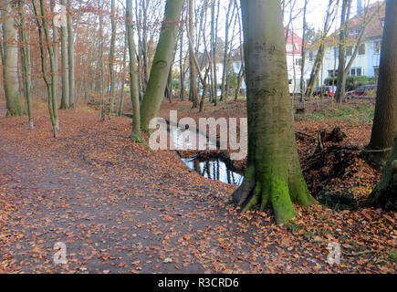 Eilenriede drainage dans le Banque D'Images