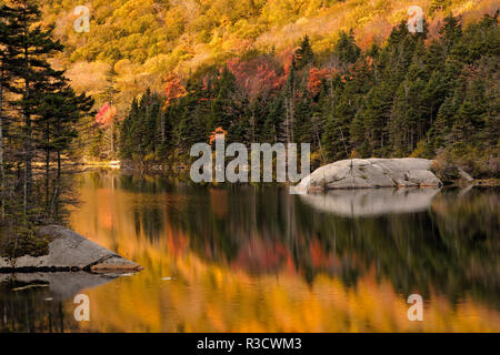 Les couleurs de l'automne reflète sur étang de castors, White Mountains National Forest, New Hampshire Banque D'Images