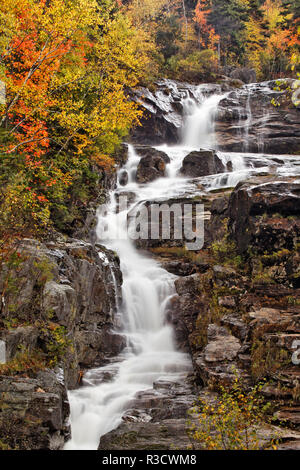 Cascade d'argent et de couleur à l'automne, Crawford Notch State Park, New Hampshire Banque D'Images