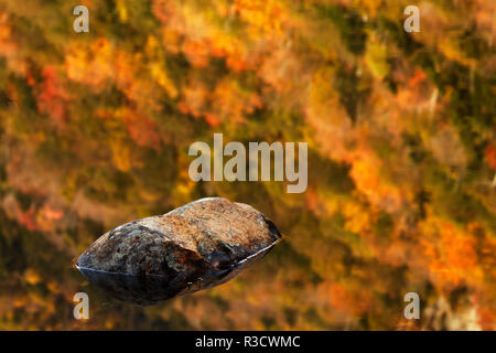 Les couleurs de l'automne et Boulder reflétée sur étang de castors, White Mountains National Forest, New Hampshire Banque D'Images