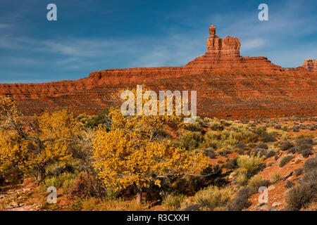 Dans la couleur de l'automne d'arbres cottonwood et monuments historiques, la Vallée des Dieux, de l'Utah