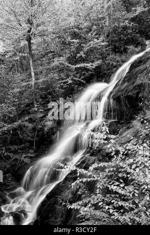 USA, Virginie, Blue Ridge Parkway. George Washington National Forest, L'automne à Crabtree Falls Banque D'Images