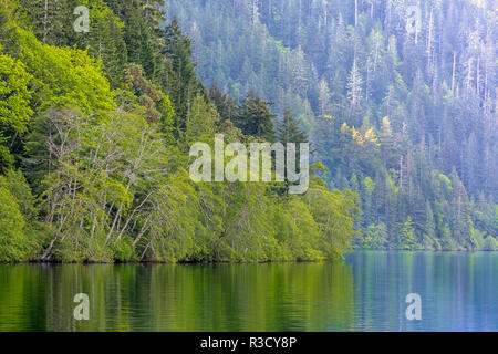 USA (Washington), le Parc National Olympique. Paysage du croissant du lac. Banque D'Images