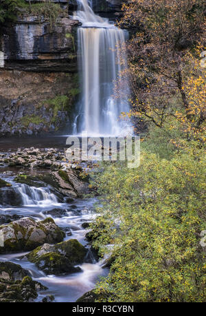 Thornton vigueur cascade, une partie de la chute d'Ingleton, sentier de l'automne, Yorkshire Dales National Park, North Yorkshire, England, UK Banque D'Images