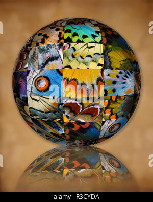 Photoshop conçu globe avec regroupement d'aile de papillon close-up Banque D'Images