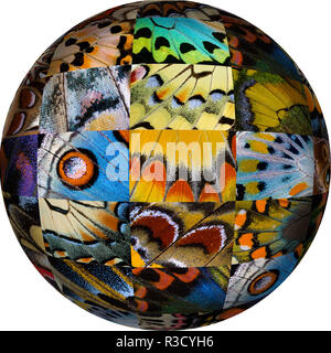 Photoshop conçu globe avec regroupement d'aile de papillon close-up Banque D'Images