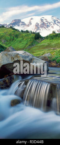 Stream sur Paradise Trail près de Mt. Rainier National Park Lodge Banque D'Images