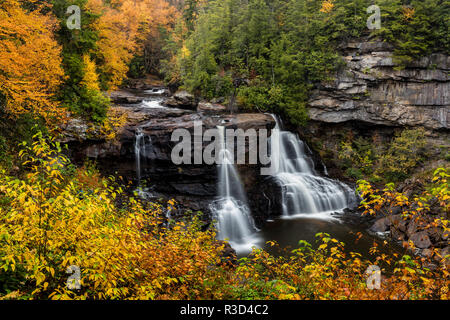 Chutes de Blackwater à l'automne dans la région de Blackwater Falls State Park à Davis, West Virginia, USA Banque D'Images