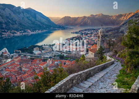 Kotor, Monténégro. Belle vieille ville romantique de Kotor au coucher du soleil. Banque D'Images