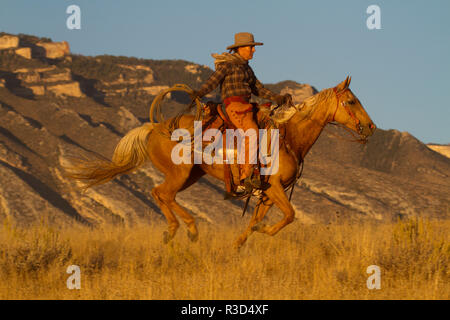 Usa, Wyoming, Shell, la cachette, Ranch Équitation Cowgirl Cheval au galop dans la Lumière Dorée (MR, communication) Banque D'Images