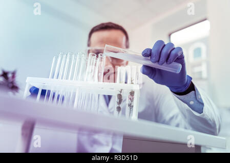 Étudier la biologie. Heureux sourire maintien scientifique sur le visage tout en travaillant au projet Banque D'Images