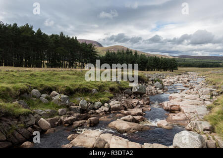 Allt Darrarie avant affluent il rejoint la rivière Muick, Balmoral Estate, Aberdeenshire, Scotland, UK. Banque D'Images