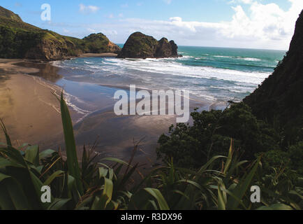 Vue sur la plage de Piha depuis Lion Rock, Nouvelle-Zélande Banque D'Images