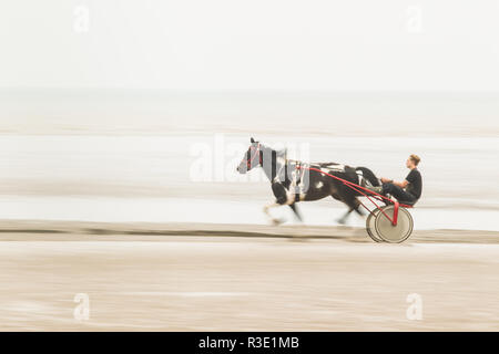 Trotting sur la plage de Lade, Dungeness, Kent UK Banque D'Images