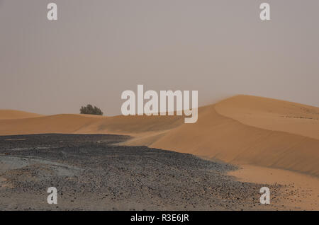 Les dunes de Merzouga village près de sahara Erg Chebbi dans la tempête de sable. Maroc Banque D'Images