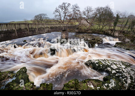 La rivière Wharfe, Linton Falls, Skipton, Yorkshire Dales National Park, Royaume-Uni Banque D'Images