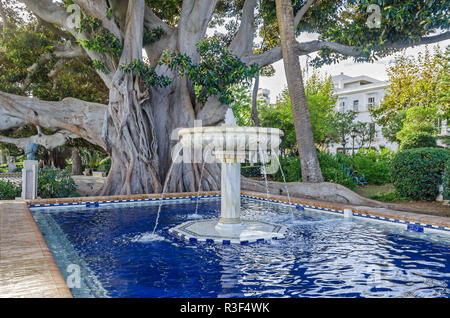 Alameda de Apodaca, un parc public, un exemple de l'éclectisme du régionalisme à Cadix, avec Ficus géant, une fontaine et une piscine décorée Banque D'Images