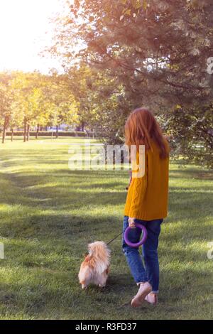 Girl and dog corgi promenade dans le parc Banque D'Images
