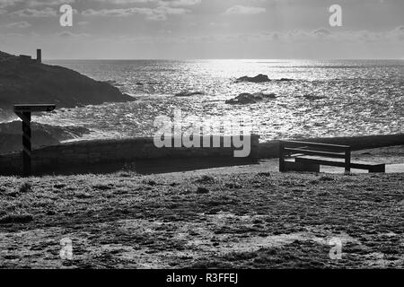 Parc jardin Celtique Hercules, dans la province de La Corogne, Galice, Espagne, Europe Banque D'Images