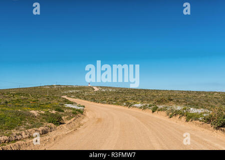 La route de Tietiesbaai près de Paternoster. Le phare de Cape Columbine et fleurs sauvages sont visibles Banque D'Images