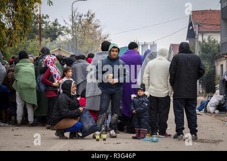 BAPSKA, Croatie - 24 octobre 2015 : La famille devant une foule de réfugiés qui attendent pour vous inscrire et entrer en Serbie à la frontière avec la Macédoine sur Balkan Banque D'Images