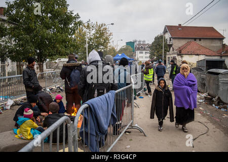 BAPSKA, Croatie - 24 octobre 2015 : foule de réfugiés en attente de s'inscrire et entrer en Serbie à la frontière avec la Macédoine sur la Route des Balkans, au cours de réfugiés Banque D'Images