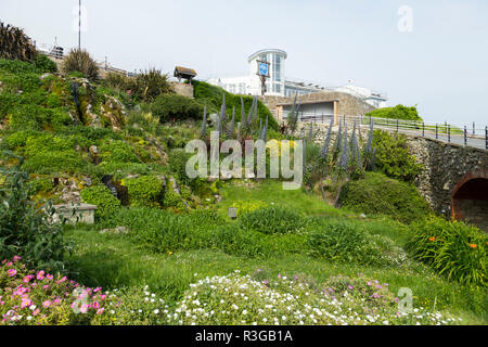 Le Cascade Gardens à Ventnor sur l'île de Wight, conçue vers 1900 par Edgar Harvey. Le Jardin d'hiver bâtiment pourrait être vu dans l'arrière-plan. Royaume-uni (98) Banque D'Images