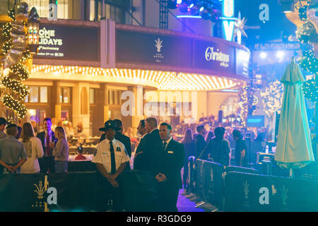 Los Angeles, novembre 19 : 17e édition de la fête de l'illumination de l'arbre d'événement Citi le Nov 19, 2018 à Los Angeles Banque D'Images