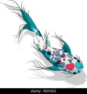 La carpe. Poisson Koi contre fond blanc Illustration de Vecteur