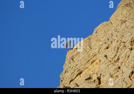 Paysage de fjord Khor Fakkan Banque D'Images