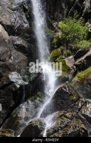 Grizzly Falls dans le parc national Kings Canyon,california,usa ** Banque D'Images