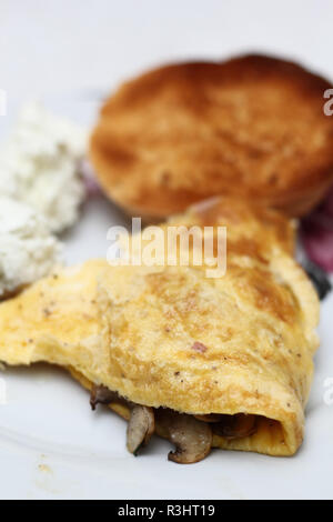 Omelette aux champignons champignon frit et grillé de pain Banque D'Images