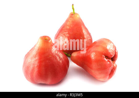 Trois rose pomme sur un fond blanc. Banque D'Images