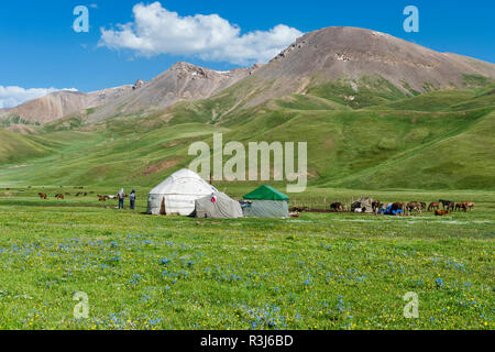 Nomad camp de yourte, Song Kol Lac, province de Naryn, du Kirghizistan, de l'Asie centrale Banque D'Images