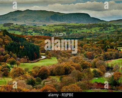 La rivière Dee Valley et à l'automne. Arénigienne Fawr Près de Bala Galles un pic de montagne dans une scène pittoresque d'arbres à l'automne orange et or. Banque D'Images