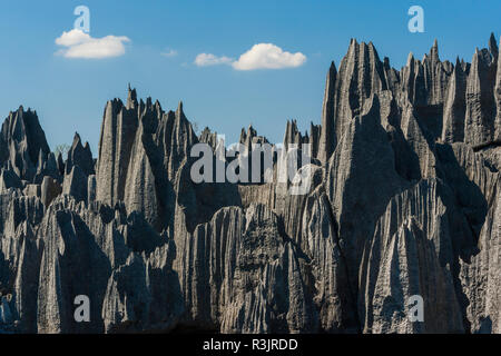 Formations calcaires, Tsingy de Bemaraha, à Madagascar Banque D'Images